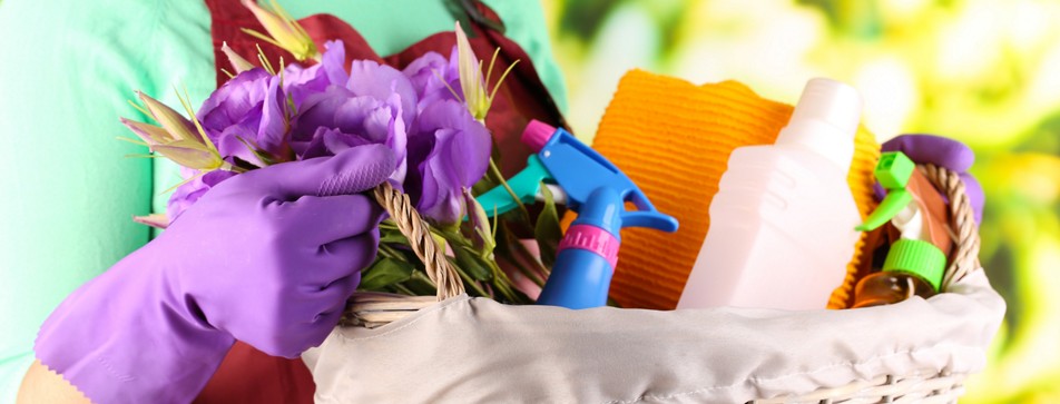 MustHaves für den Frühjahrsputz dm Online Shop Magazin MustHaves für den Frühjahrsputz dm Online Shop Magazin